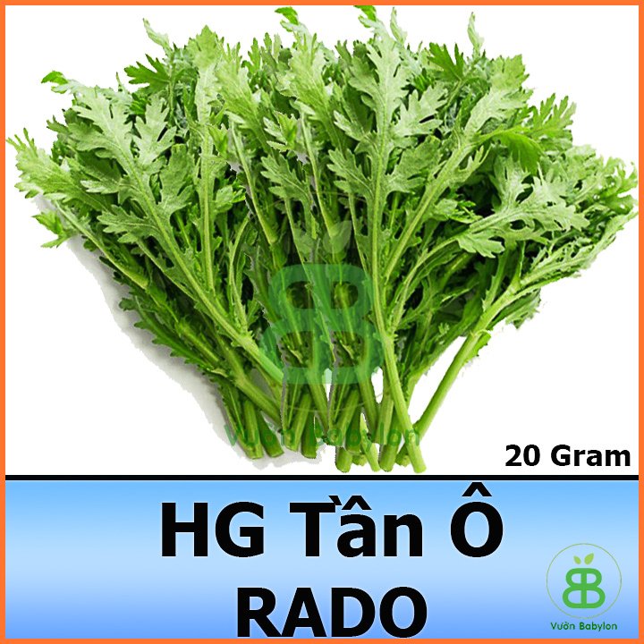 Hạt Giống Rau Tần Ô RADO 20gr
