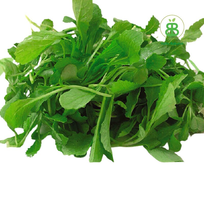 Hạt Giống Cải Bẹ Xanh Mỡ Ăn Non RADO 20Gr