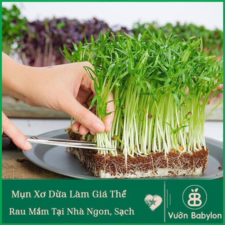 Mụn dừa SFARM đã qua xử lý – Mụn dừa tơi xốp, giữ ẩm cực tốt, trồng rau sạch- Túi 5-20dm3 3