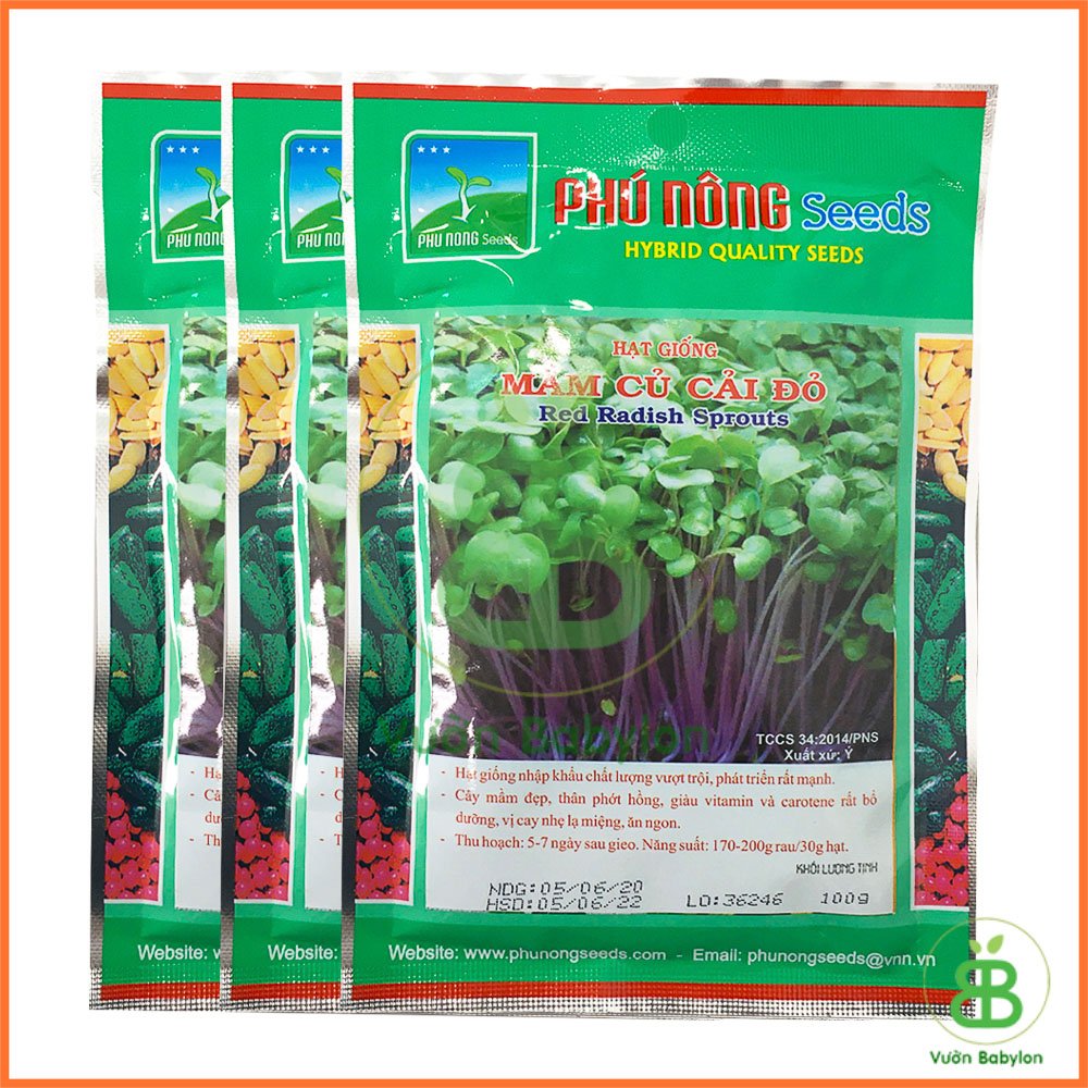 Hạt Giống Mầm Củ Cải Đỏ Giòn, Ngọt, Dinh Dưỡng Cao – Gói 30G – 100G 2