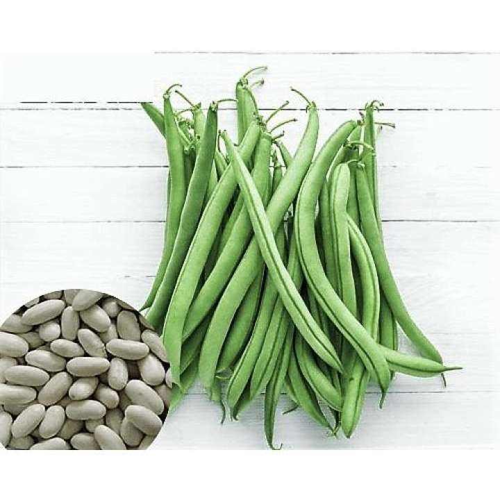 Hạt Giống Đậu Cove Dạng Leo 4 Mùa 10gr – PN