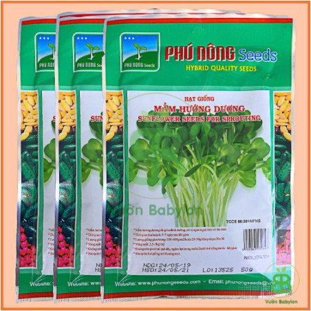 Hạt Giống Mầm Hướng Dương 50gr – PN 2