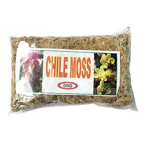 Dớn Chile (Dớn mem) Giá Thể Trồng Lan 100Gr
