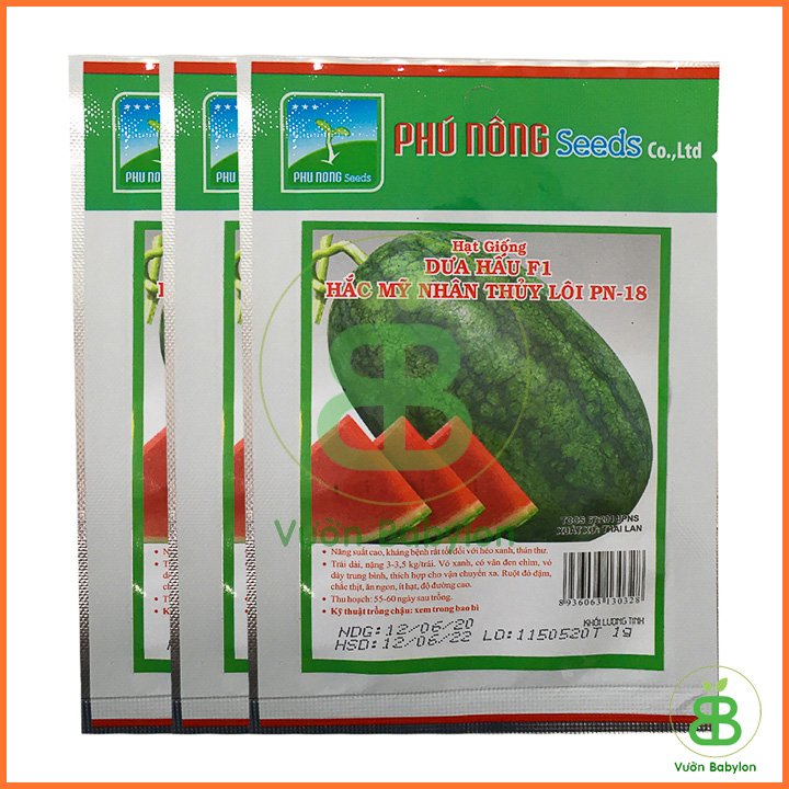 Hạt Giống Dưa Hấu Hắc Mỹ Nhân Phú Nông 3