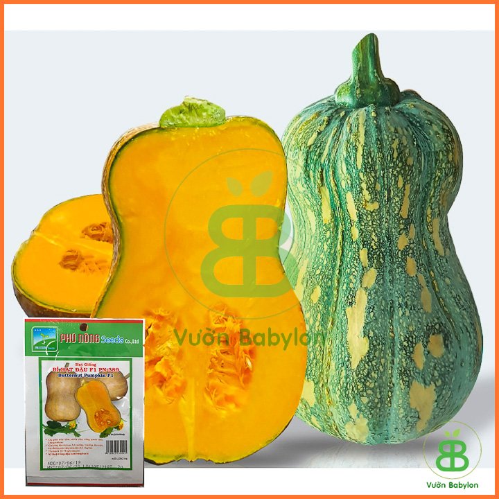 Hạt Giống Bí Đỏ – Bí Hạt Đậu F1 2