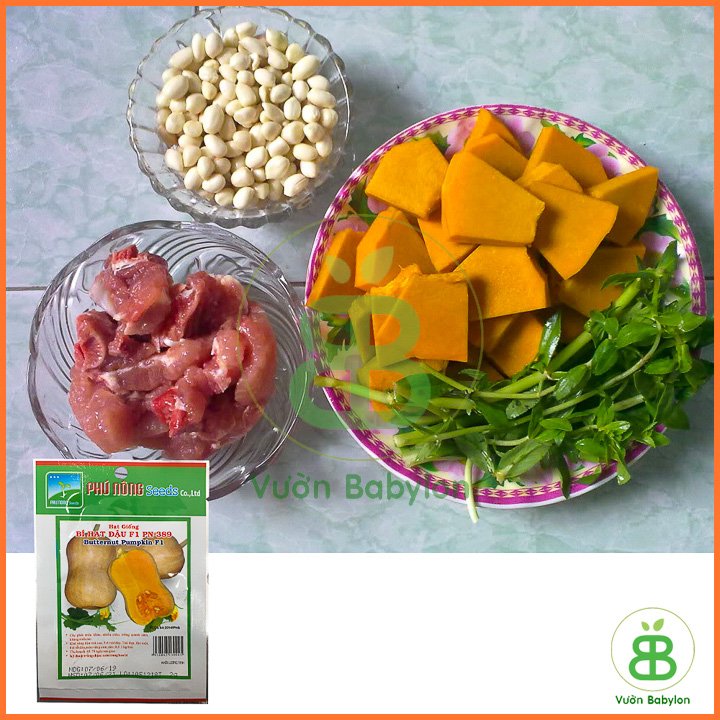 Hạt Giống Bí Đỏ – Bí Hạt Đậu F1