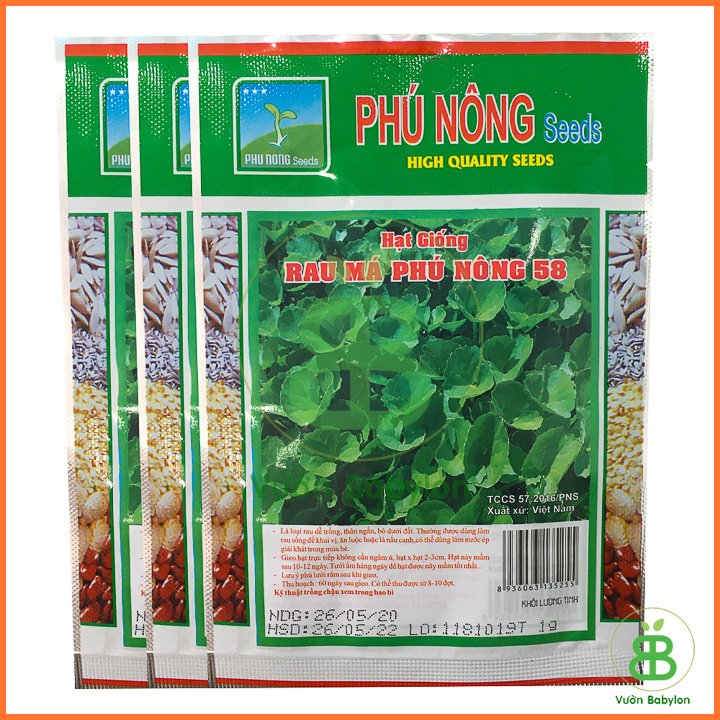 Hạt Giống Rau Má
