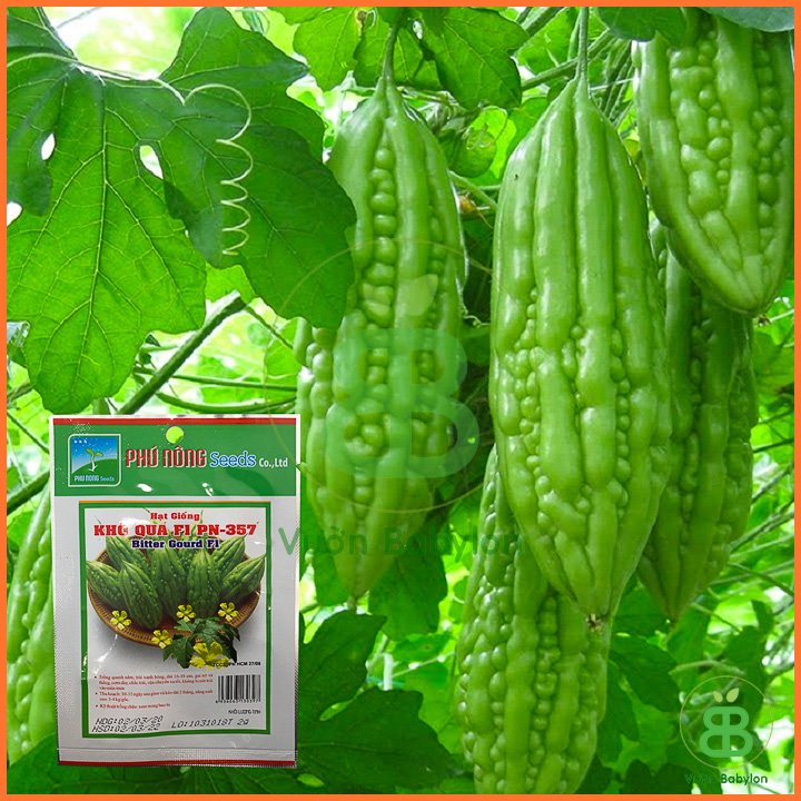 Hạt Giống Khổ Qua (Mướp Đắng) Phú Nông 357 2