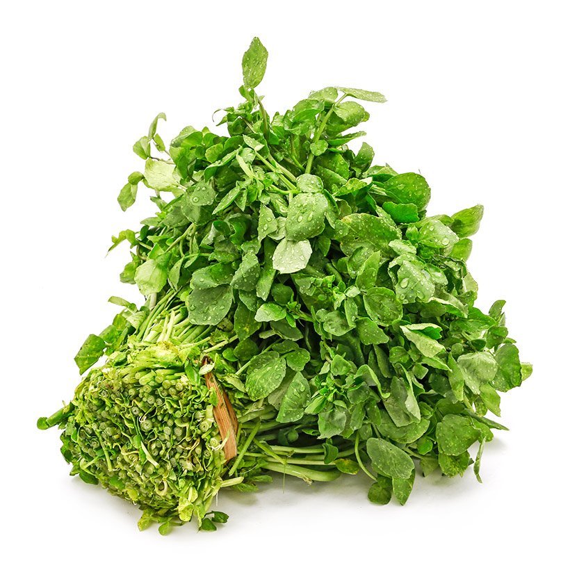 Hạt Giống Xà Lách Xoong Mỹ 1Gr
