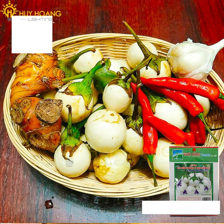 Hạt Giống Cà Pháo Trắng