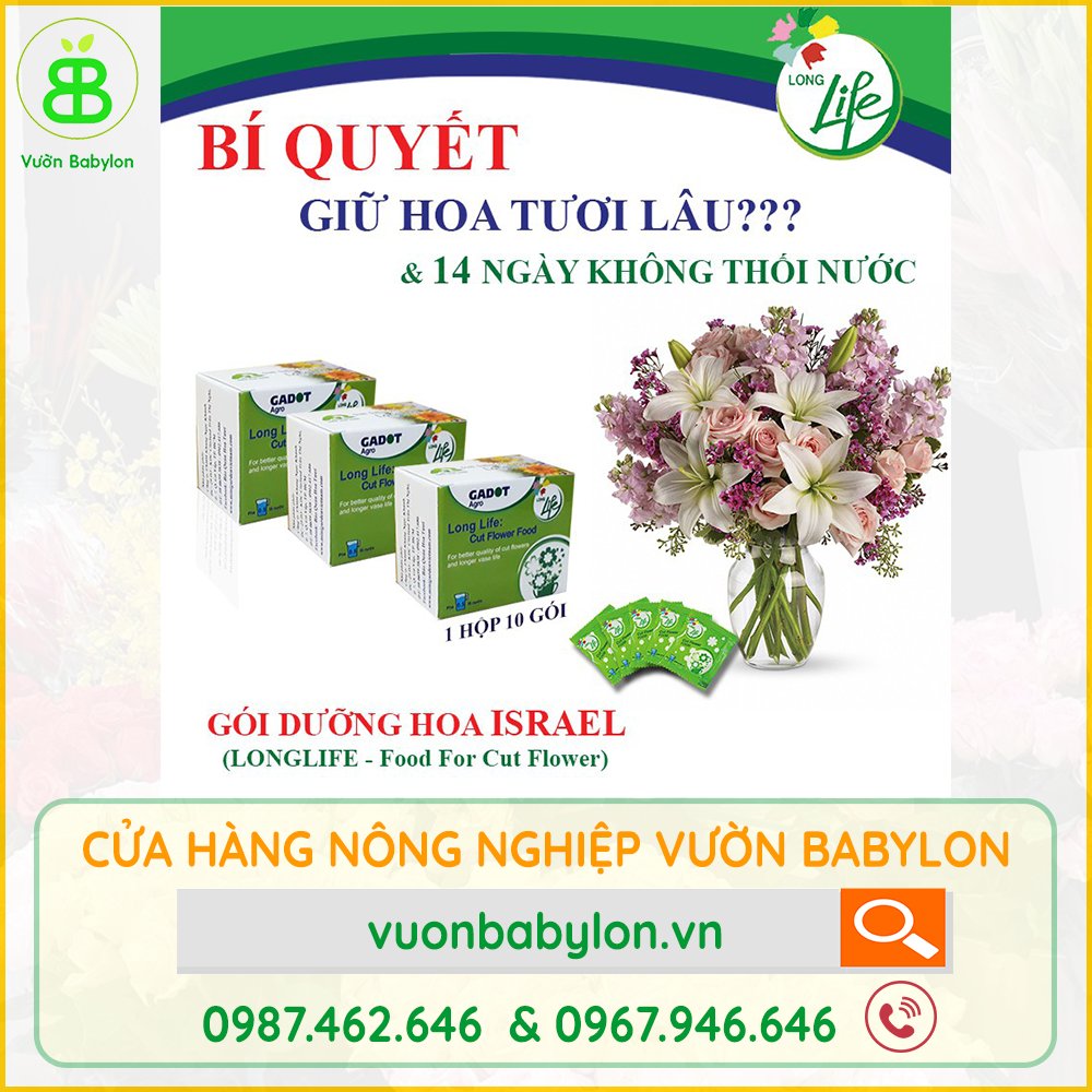 Thuốc Giữ Hoa Tươi Lâu Nhập Khẩu ISRAEL – Dưỡng Hoa Tươi, Không Thối Nước 3