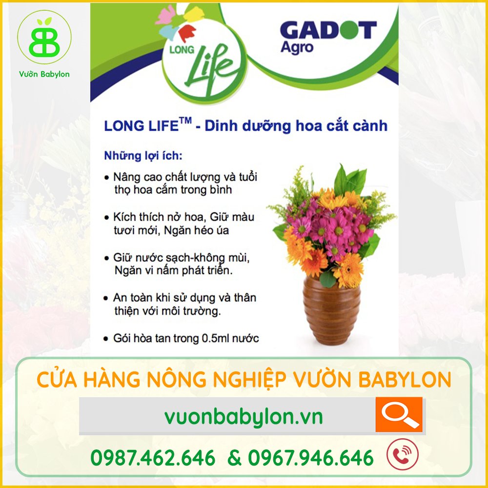 Thuốc Giữ Hoa Tươi Lâu Nhập Khẩu ISRAEL – Dưỡng Hoa Tươi, Không Thối Nước 2