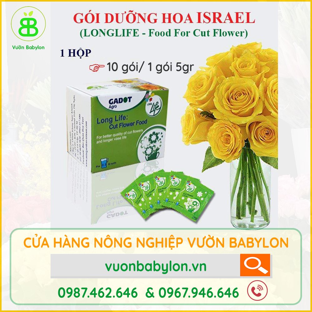 Thuốc Giữ Hoa Tươi Lâu Nhập Khẩu ISRAEL – Dưỡng Hoa Tươi, Không Thối Nước