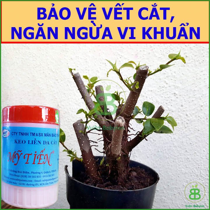 Keo Liền Sẹo Mỹ Tiến 225G – Keo liền da cây nhanh chóng 2