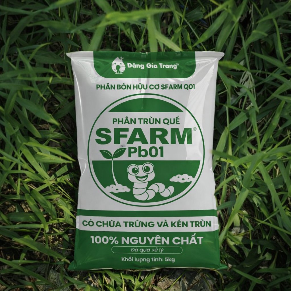 Phân trùn quế đã qua xử lý SFARM PB01 – Giàu dinh dưỡng, chuyên bón cho rau sạch 3