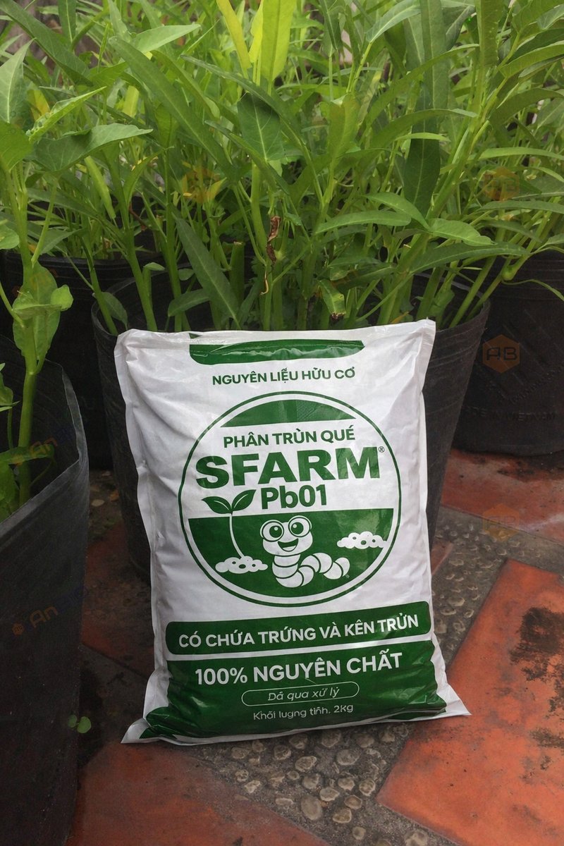 Phân trùn quế đã qua xử lý SFARM PB01 – Giàu dinh dưỡng, chuyên bón cho rau sạch 2
