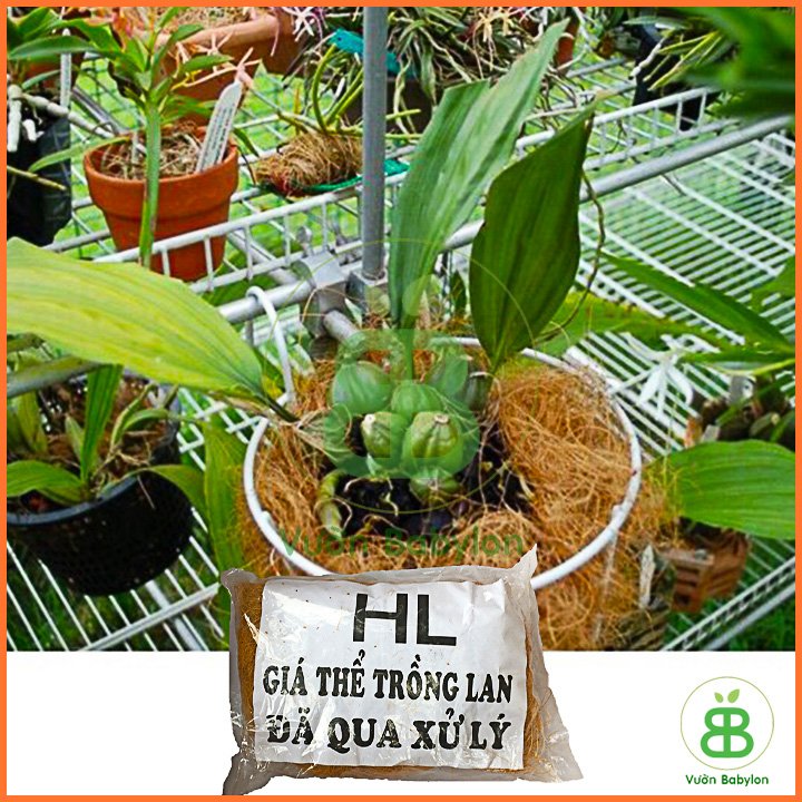 Xơ Dừa Sợi Đã Qua Xử Lý – 5Dm3 2