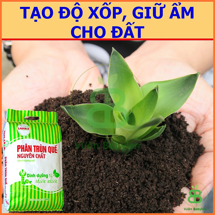 Phân Trùn Quế Nguyên Chất Lavamix Bao 10Kg 3