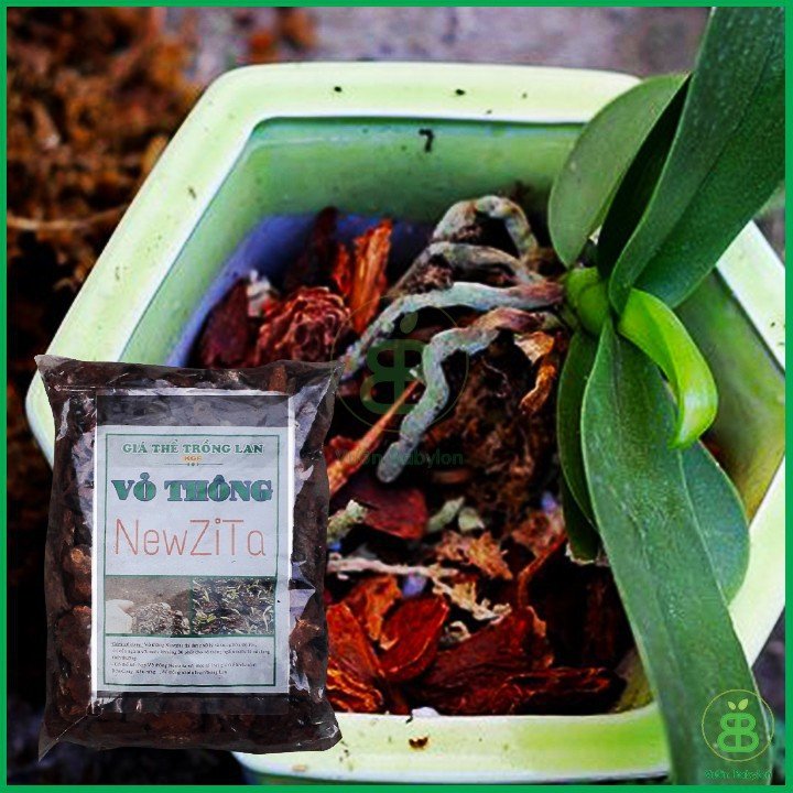 Vỏ Thông Trồng Lan New Zita 500Gr 3