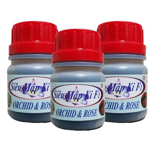 Siêu Mập Ki F1 – Kích Ki – Mập Thân Mập Rễ – Xanh Lá – Dưỡng Hoa