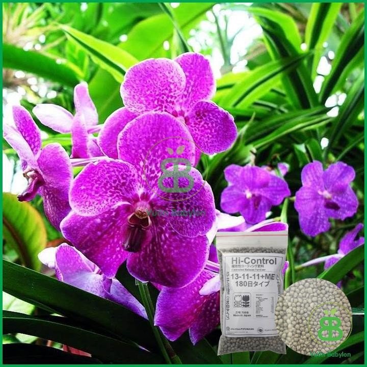 Phân Tan Chậm Nhật 13-11-11-ME – Gói 100G