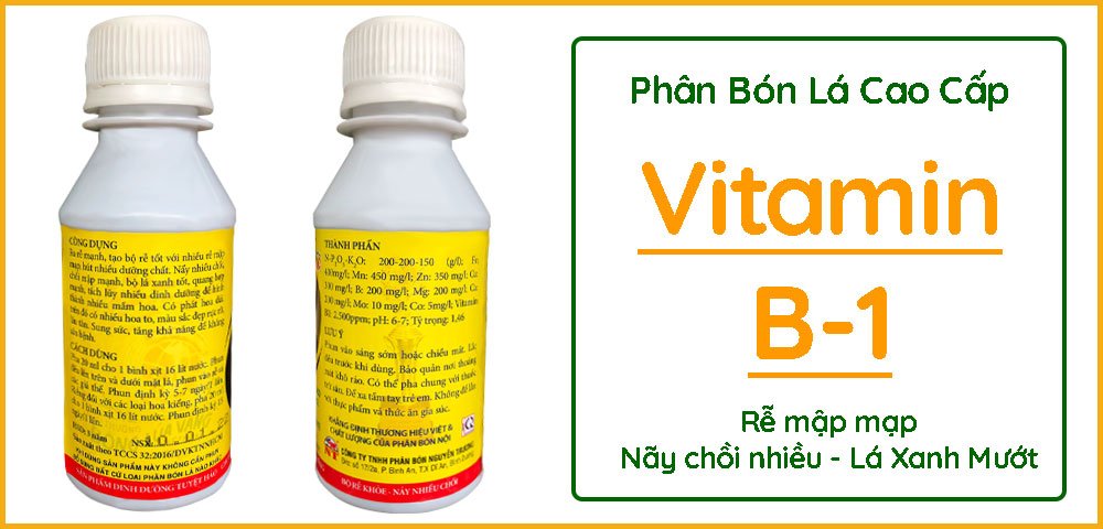 Phân Bón Lá Vitamin B1 HVP Siêu Đậm Đặc – Rễ Phát Triển Nãy Chồi Nhiều 2