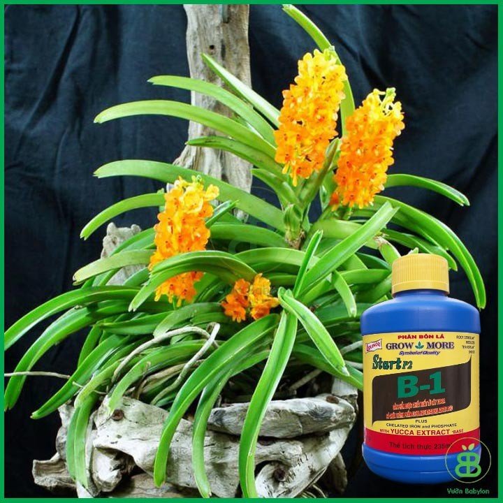 Phân Bón Lá Vitamin B1 Mỹ Growmore 235ml 3