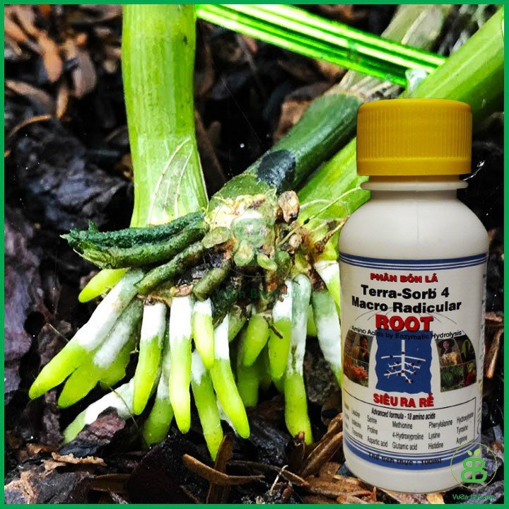 Phân Bón Terra -Sorb 4 Root Siêu Ra Rễ 100ml 2