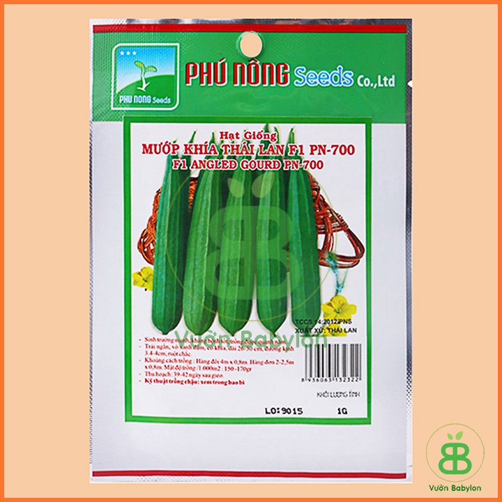 Hạt Giống Mướp Khía 2