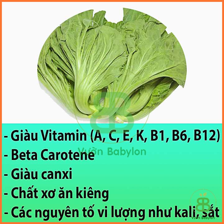 Hạt Giống Cải Bẹ Dưa Cao Sản 10Gr Siêu Giòn 3