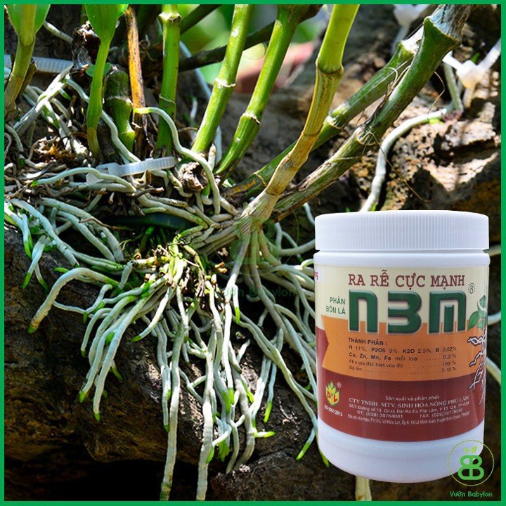 Kích Thích Ra Rễ Cực Mạnh N3M 500G 3