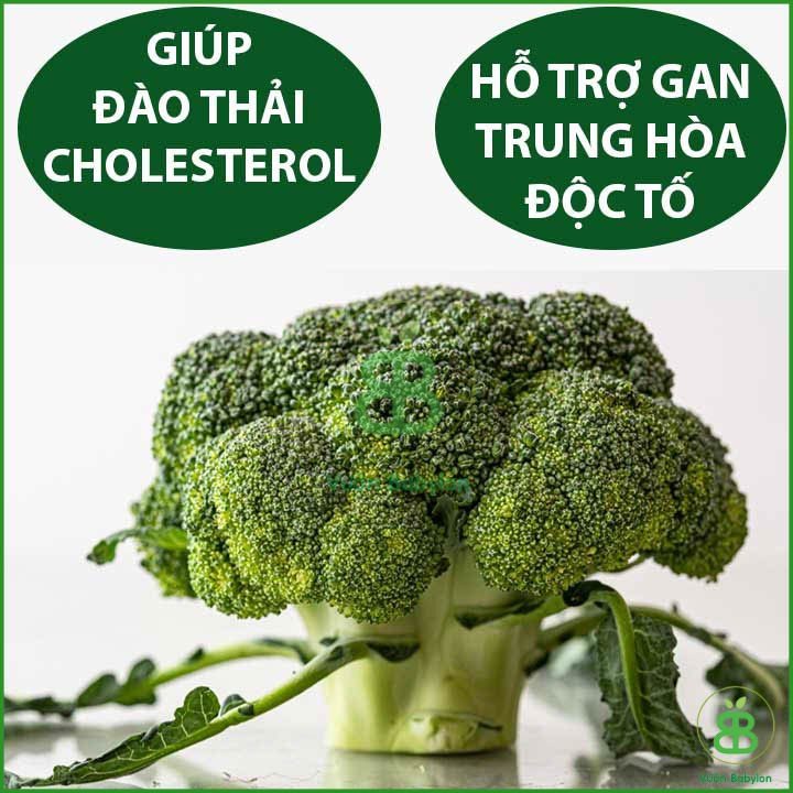 Hạt Giống Súp Lơ Xanh 2