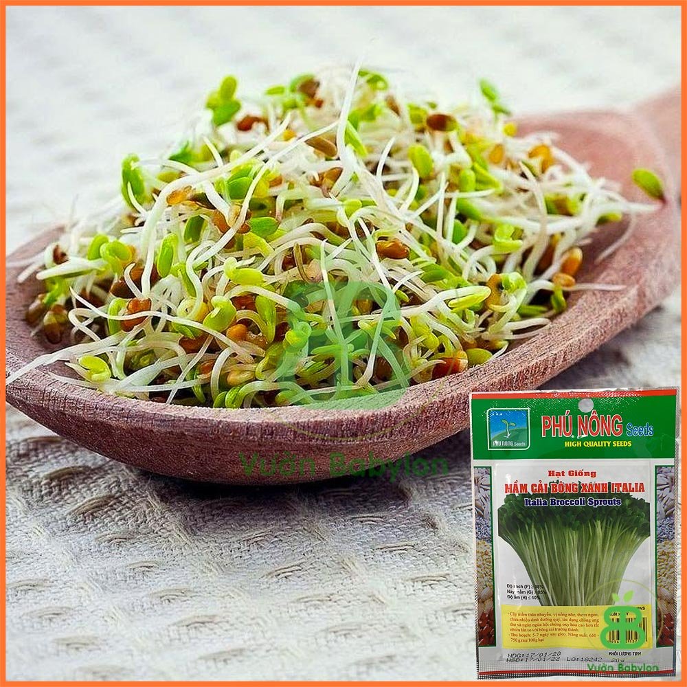 Hạt Giống Mầm Bông Cải Xanh ITALIA Phú Nông – 20Gr 2