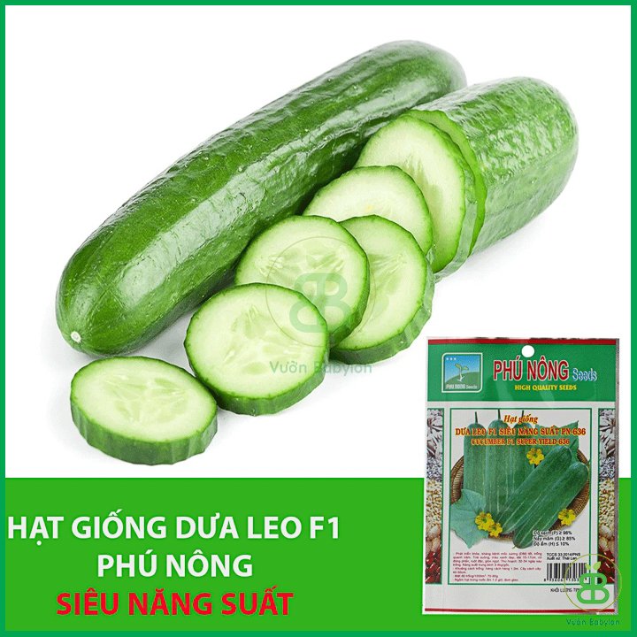 Hạt Giống Dưa Leo Phú Nông 3