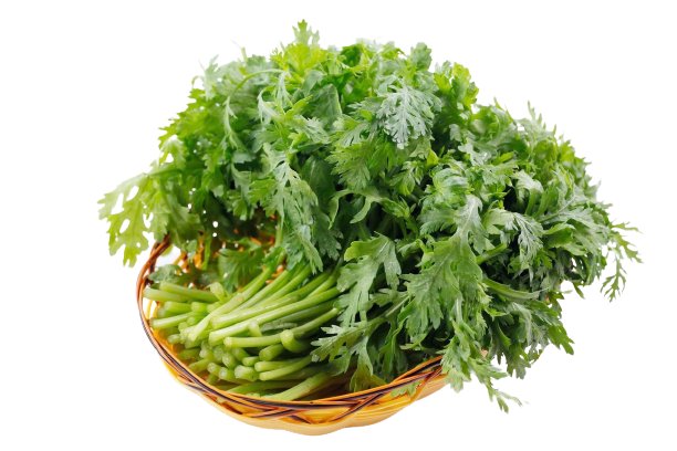 Hạt Giống Rau Tần Ô (Cải Cúc) 20Gr