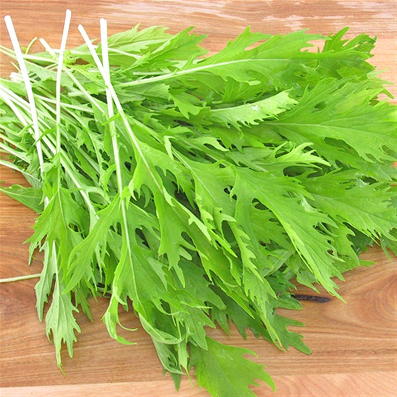 Hạt Giống Cải Đuôi Phụng 10Gr