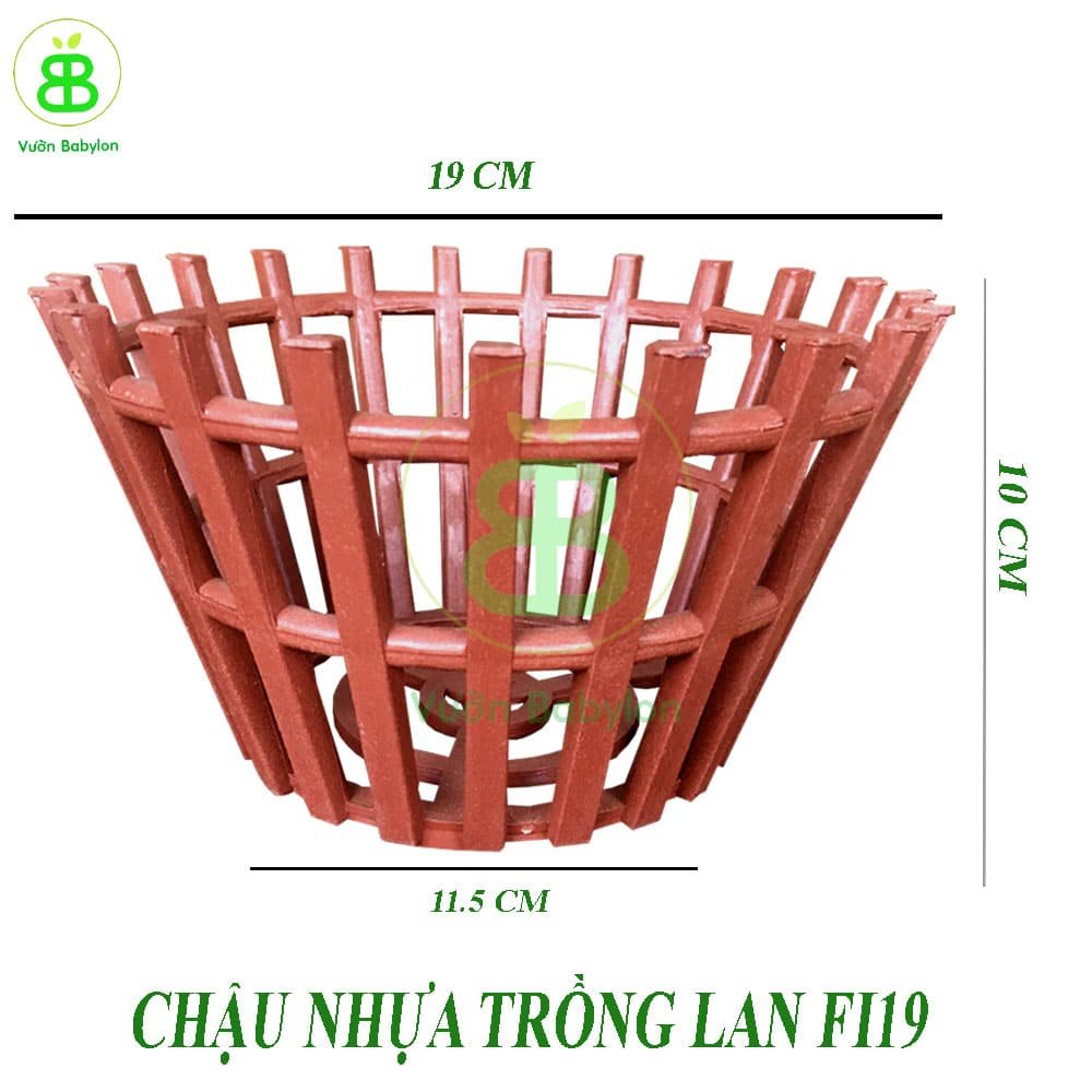 Chậu Nhựa Trồng Lan Loại Tốt Nhiều Size