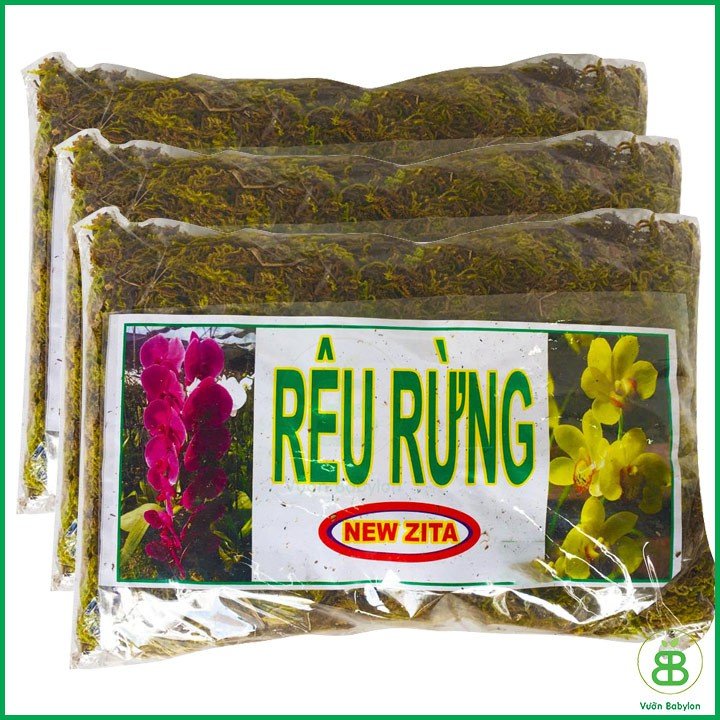 Rêu rừng New Zita (Túi 3DM3) – Rêu rừng trồng lan, giữ ẩm đất tốt
