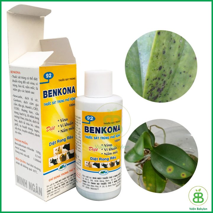 Thuốc Sát Trùng Hoa Lan BENKONA 100ml