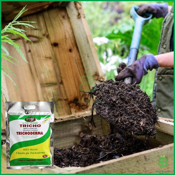 Nấm đối kháng Trichoderma Điền Trang 1Kg – Chế phẩm vi sinh vật ủ phân hữu cơ, tưới gốc phòng nấm bệnh 2