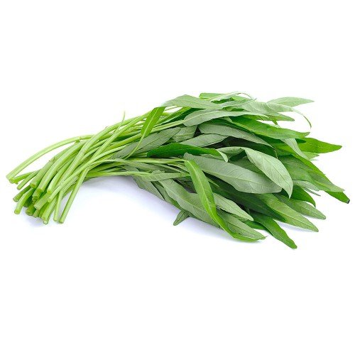 Hạt Giống Rau Muống Lá Tre Cao Sản 50Gr – 100Gr