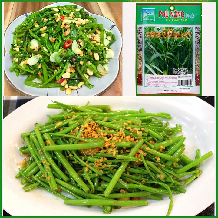 Hạt Giống Rau Muống Lá Tre Cao Sản 50Gr – 100Gr 3
