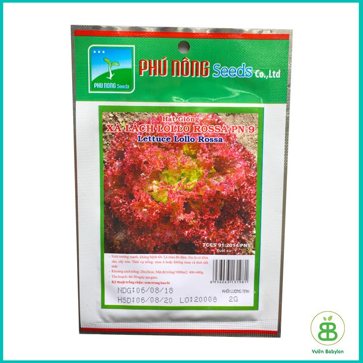 Hạt Giống Xà Lách Xoăn Tím (Lollo Rossa) 2Gr 3