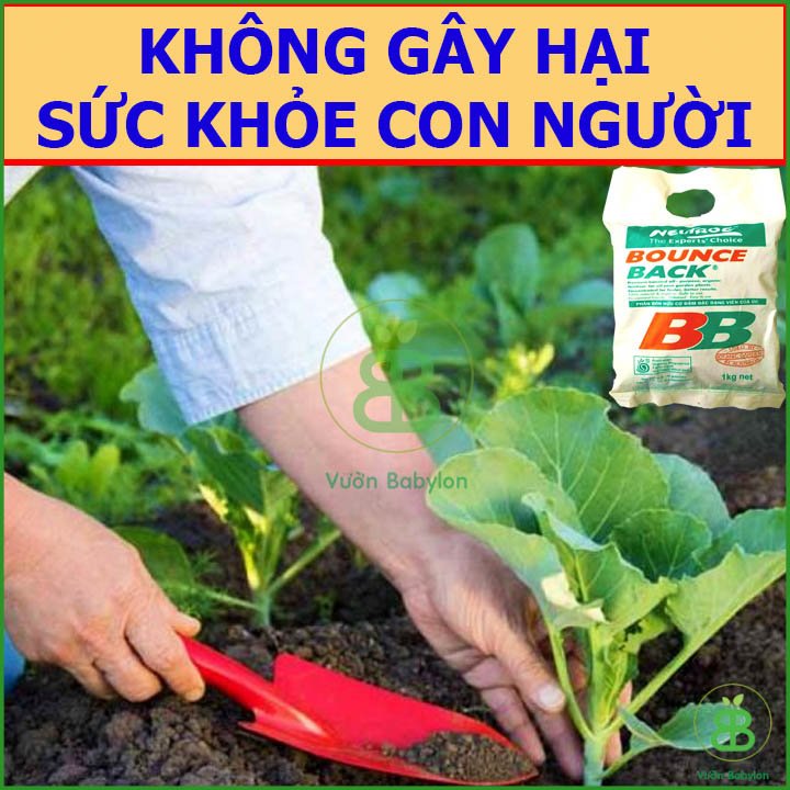 Phân Hữu Cơ Bounce Back BB Úc Dạng Viên Nén Đậm Đặc 3