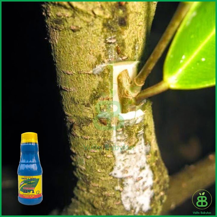 Phân Bón Lá Vitamin B1 Growmore của Mỹ