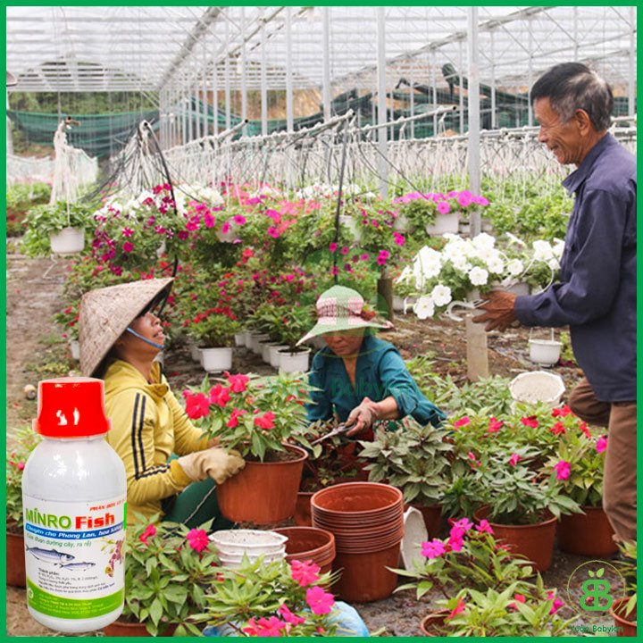 Phân đạm cá lavamix vif-sup Lavamix 100ml 2