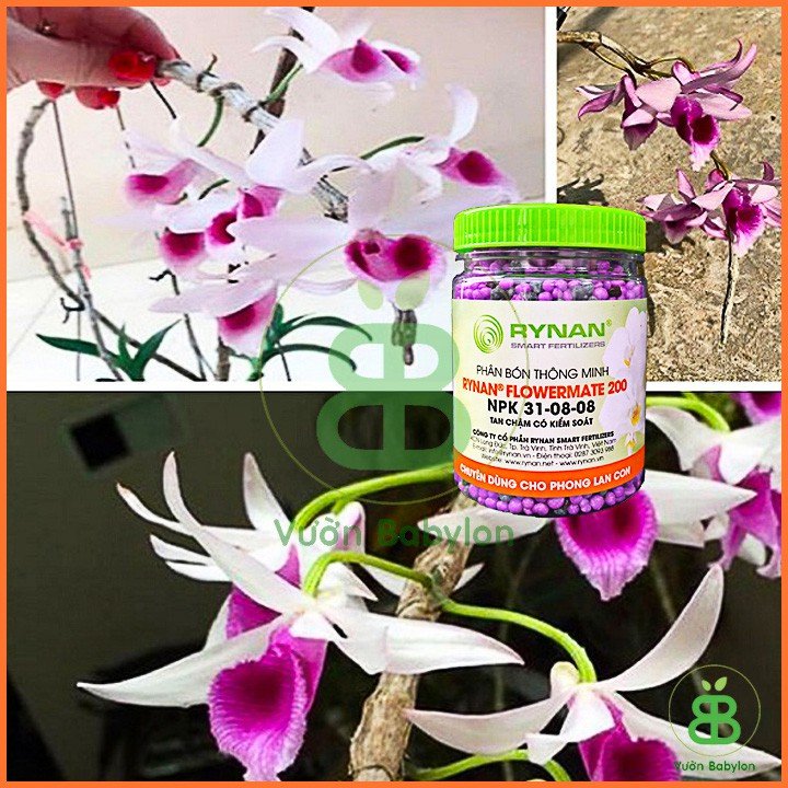 Phân thông minh Rynan 200 (NPK 31-08-08) hũ 150gr 3