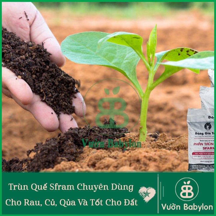Phân Trùn Quế Nguyên Chất Gói 2Kg 3