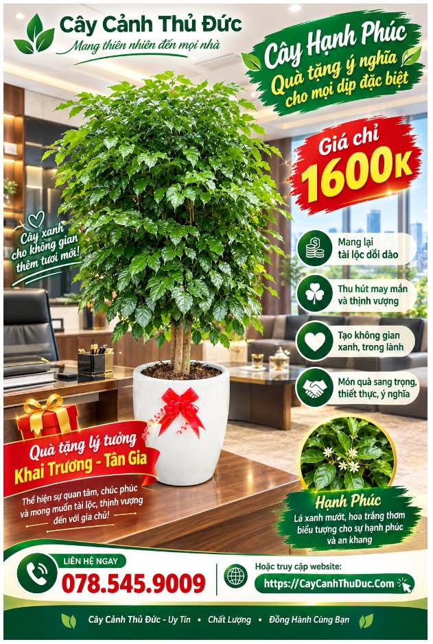 Hạnh Phúc Đại – 1.6 Mét