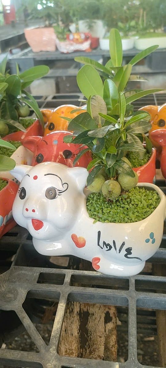 May Mắn Tài Lộc 3